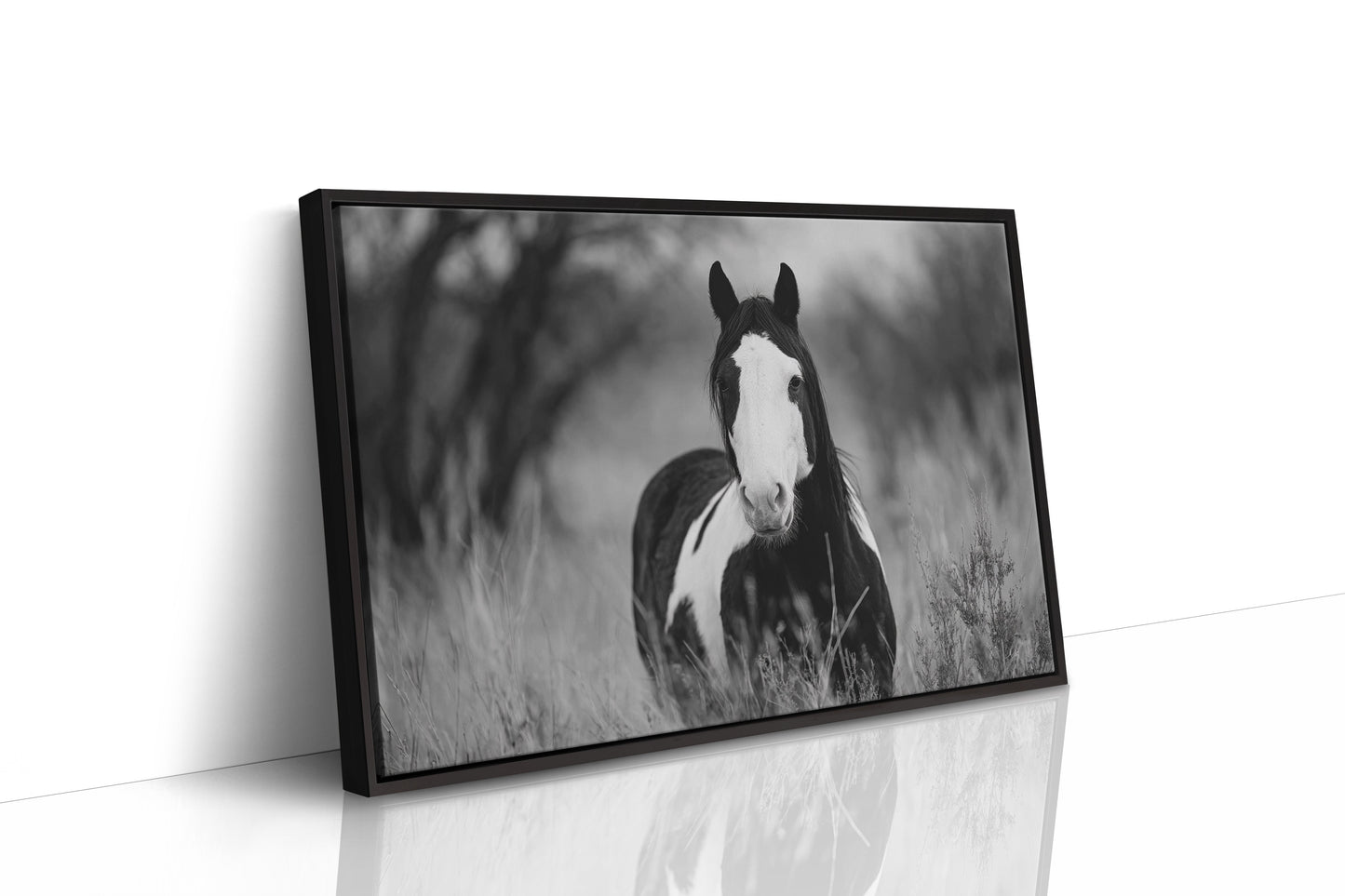 Wild Hearts Run Free