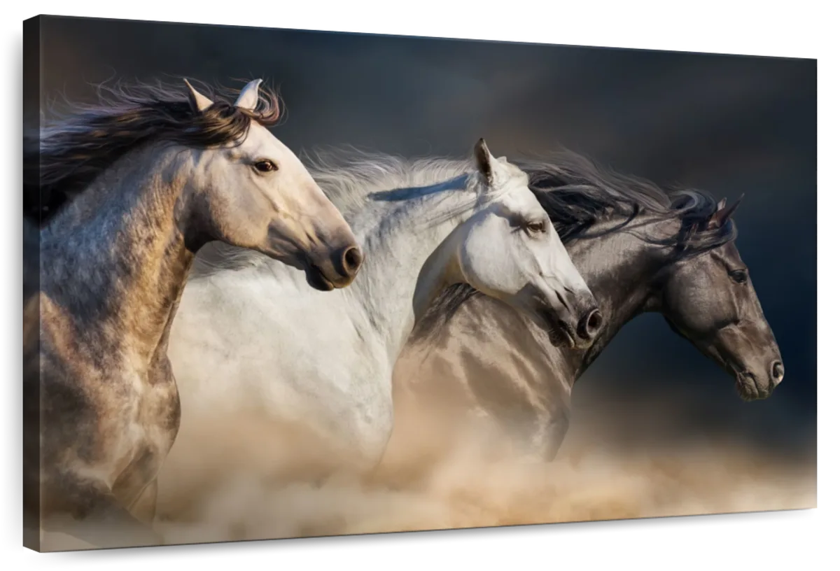 Magnificent Horses Wall Art choice of styles