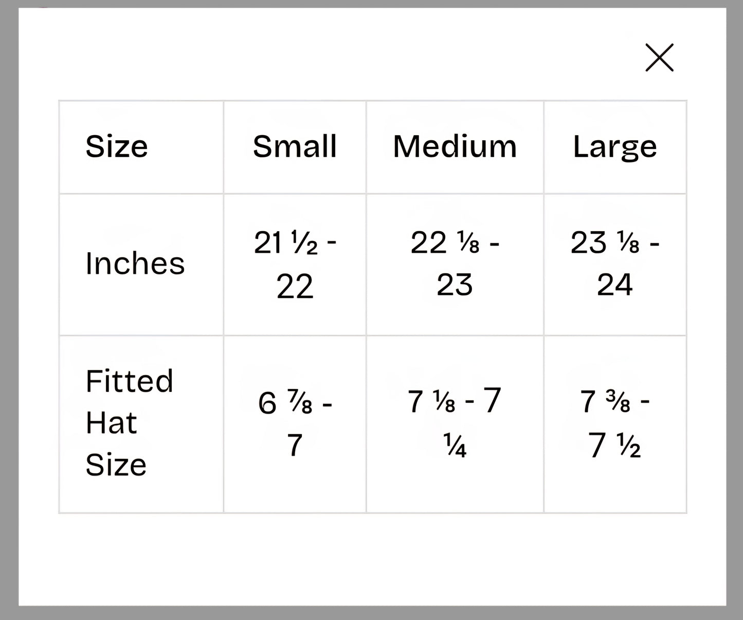 Rhinestone Cowgirl The "America" Hat in Black