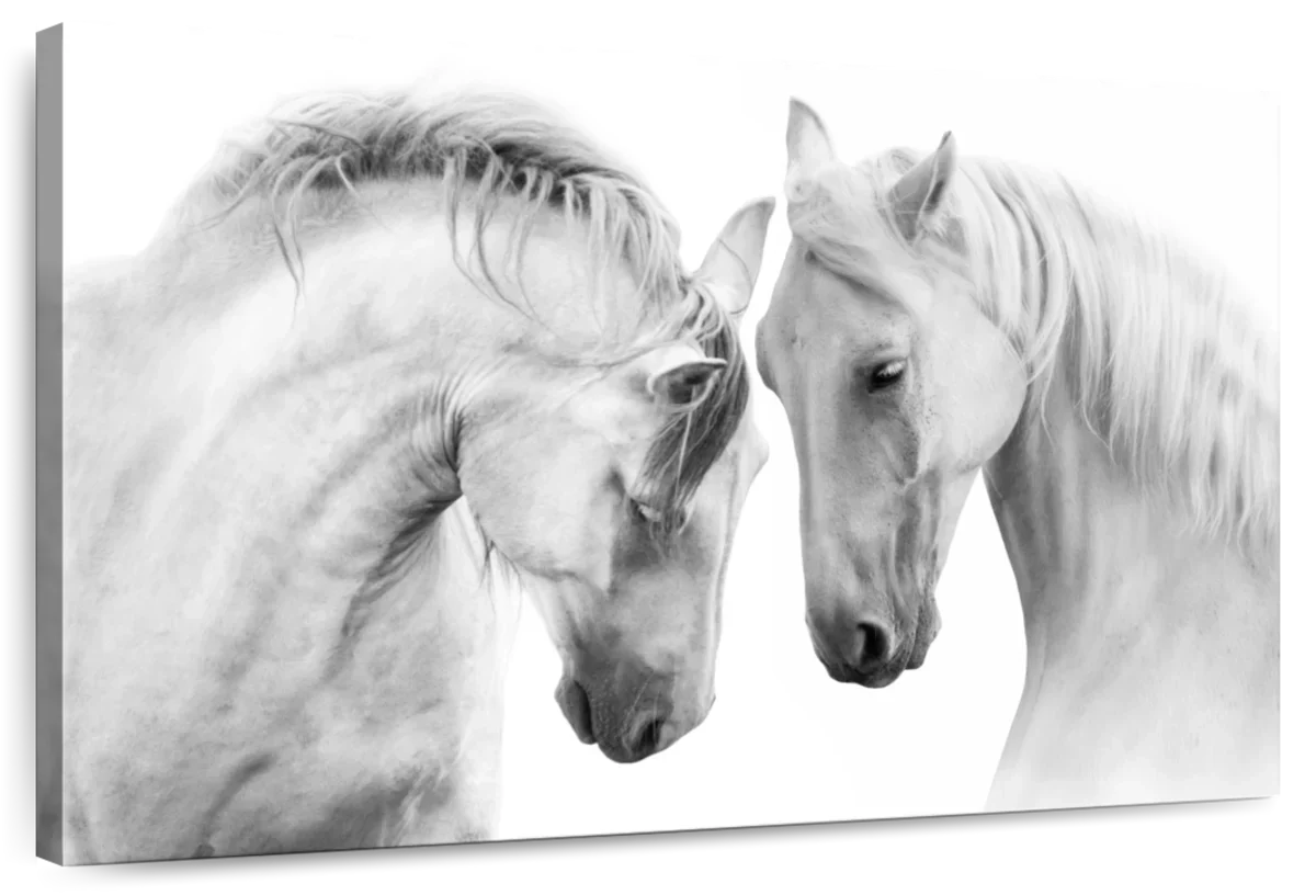 White Horse Couple Wall Art
