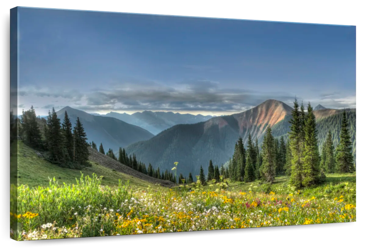 Rocky Mountain National Park Meadow Wall Art