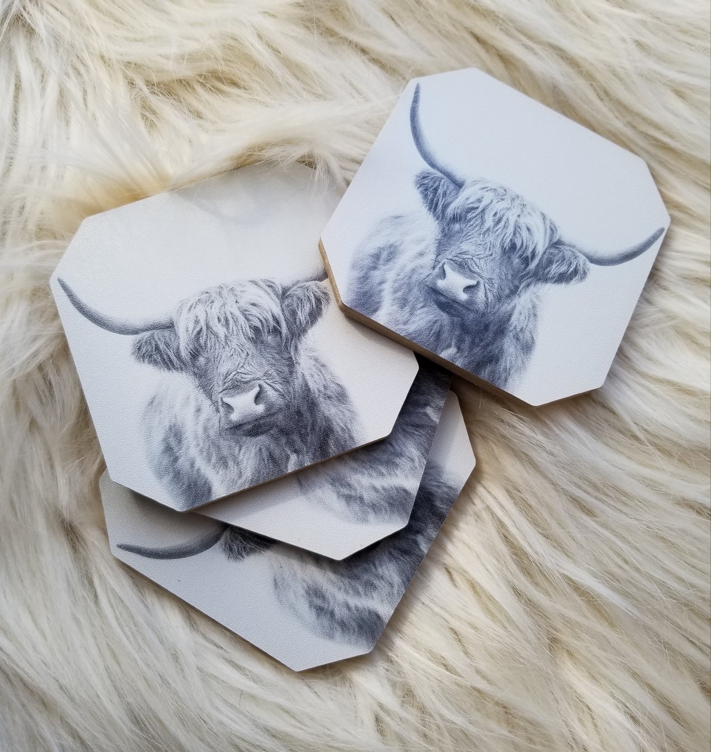 Highland Coaster Set - #wholesaleacc, black and white, coaster, coasters, cow, cows, cute cows, decoration, gift, gift idead, gift ideas, high land, high land cow, highland, home, home decor, photo, photography, western, western home decor - - Baha Ranch Western Wear