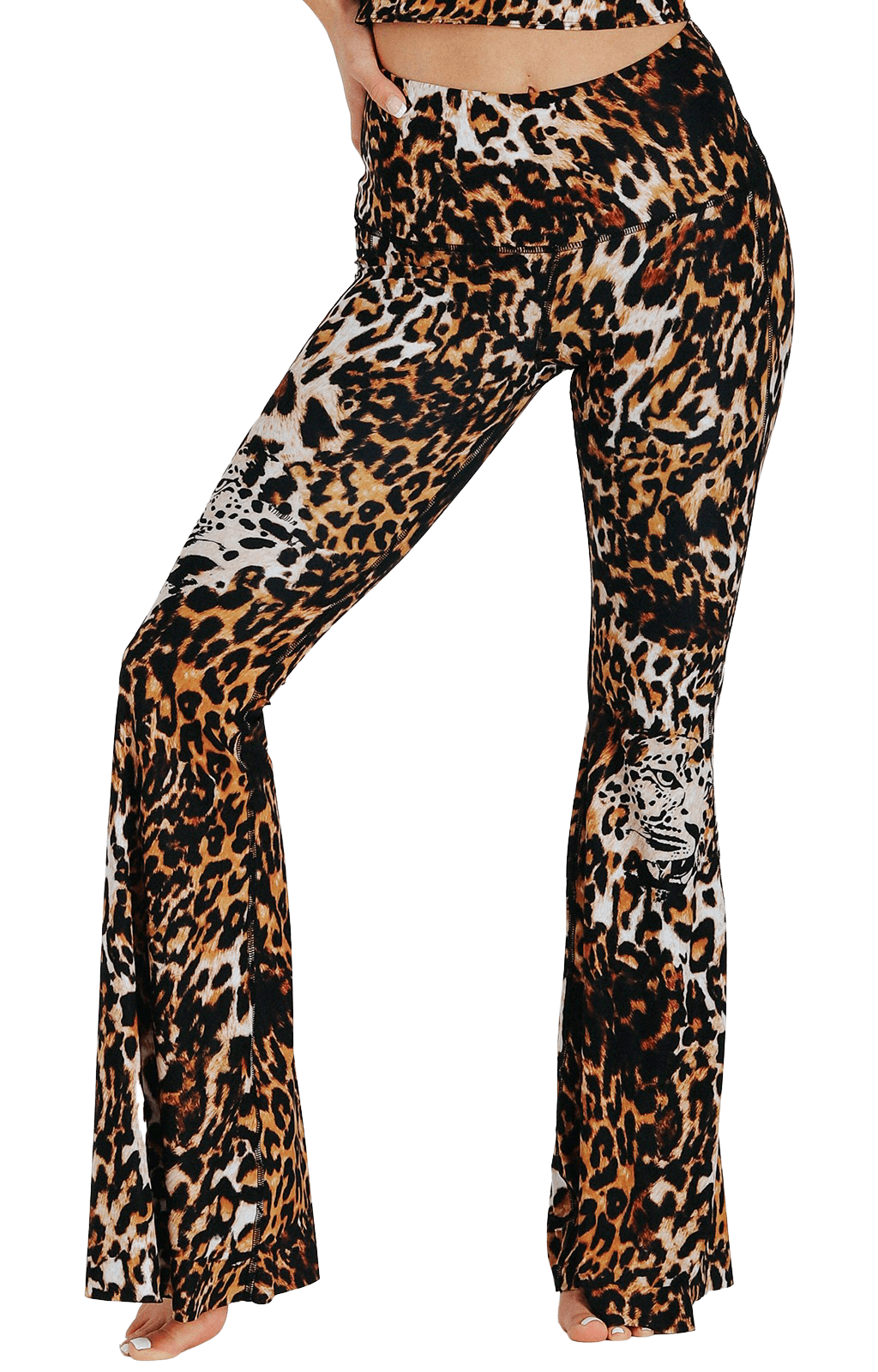 Wildcat Printed Bell Bottoms