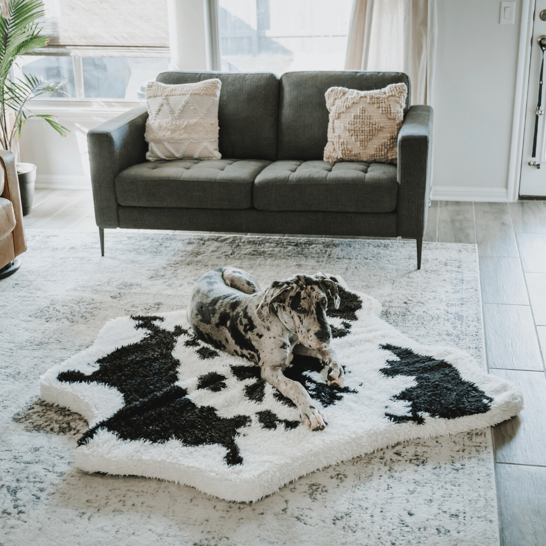 PupRug™ Animal Print Memory Foam Dog Bed - Black Faux Cowhide