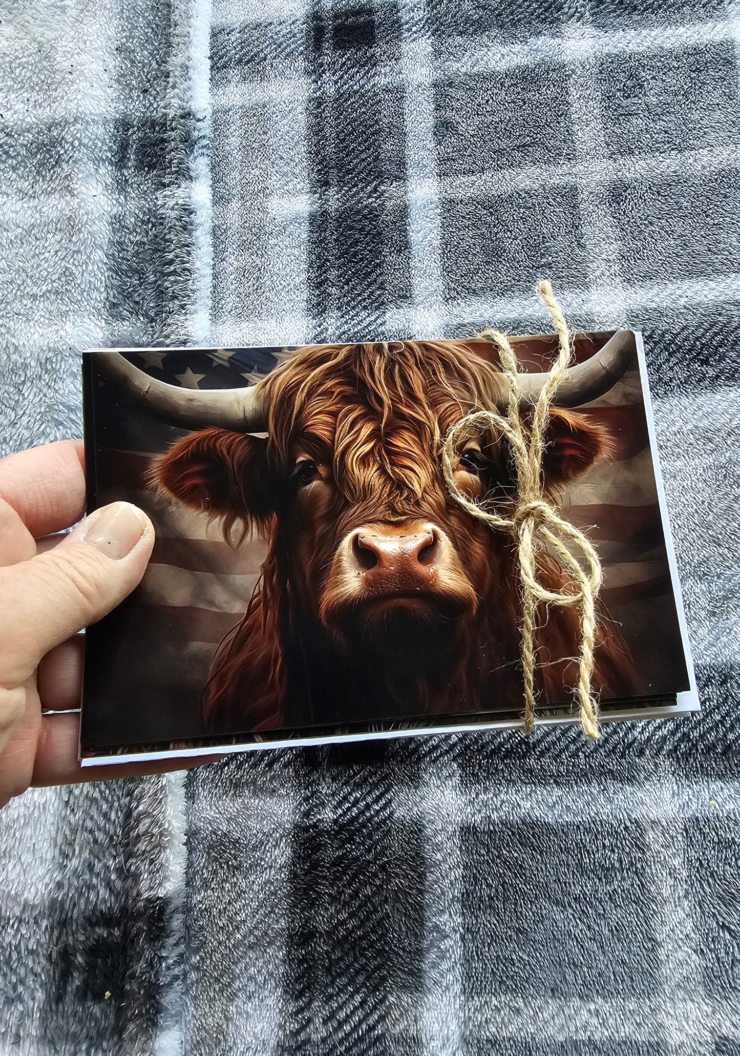 Set of 5 Highland Cow Post Cards with Envelopes