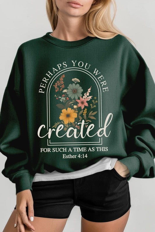 Perhaps You Were Created Graphic Sweatshirt choice of colors