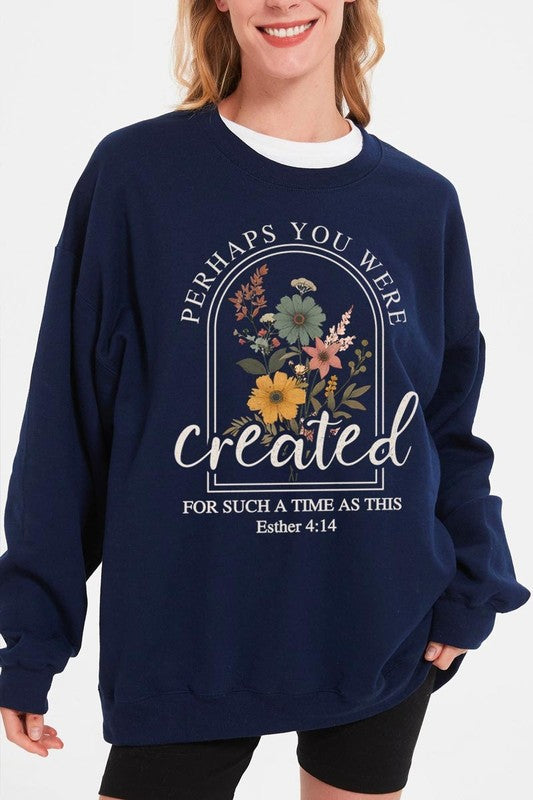 Perhaps You Were Created Graphic Sweatshirt choice of colors