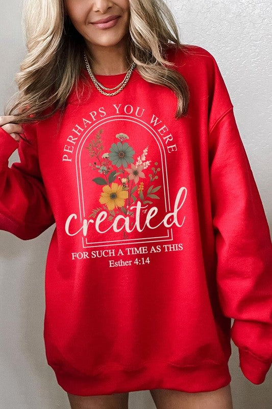 Perhaps You Were Created Graphic Sweatshirt choice of colors