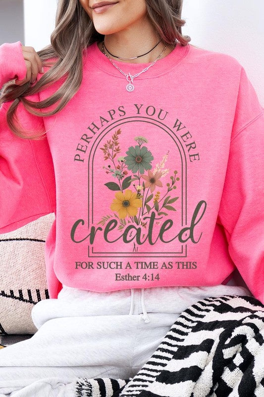 Perhaps You Were Created Graphic Sweatshirt choice of colors