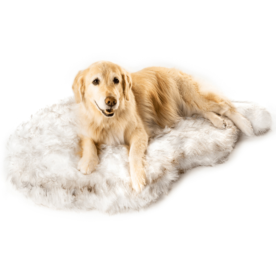 PupRug by Paw.com™ Faux Fur Orthopedic Dog Bed - Curve White with Brown Accents