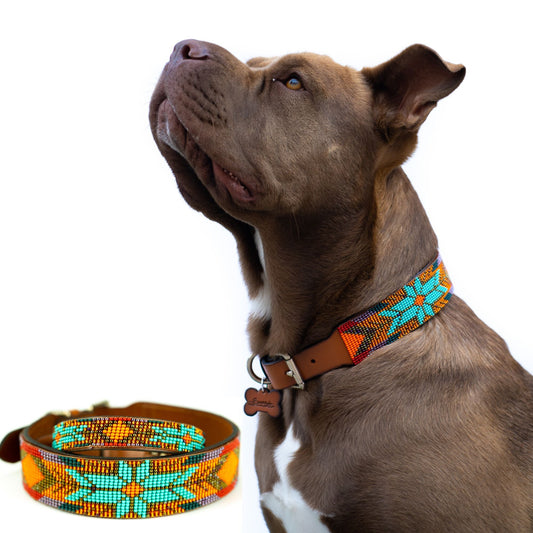 Sardinia Sambboho dog collar (Glam Collection)