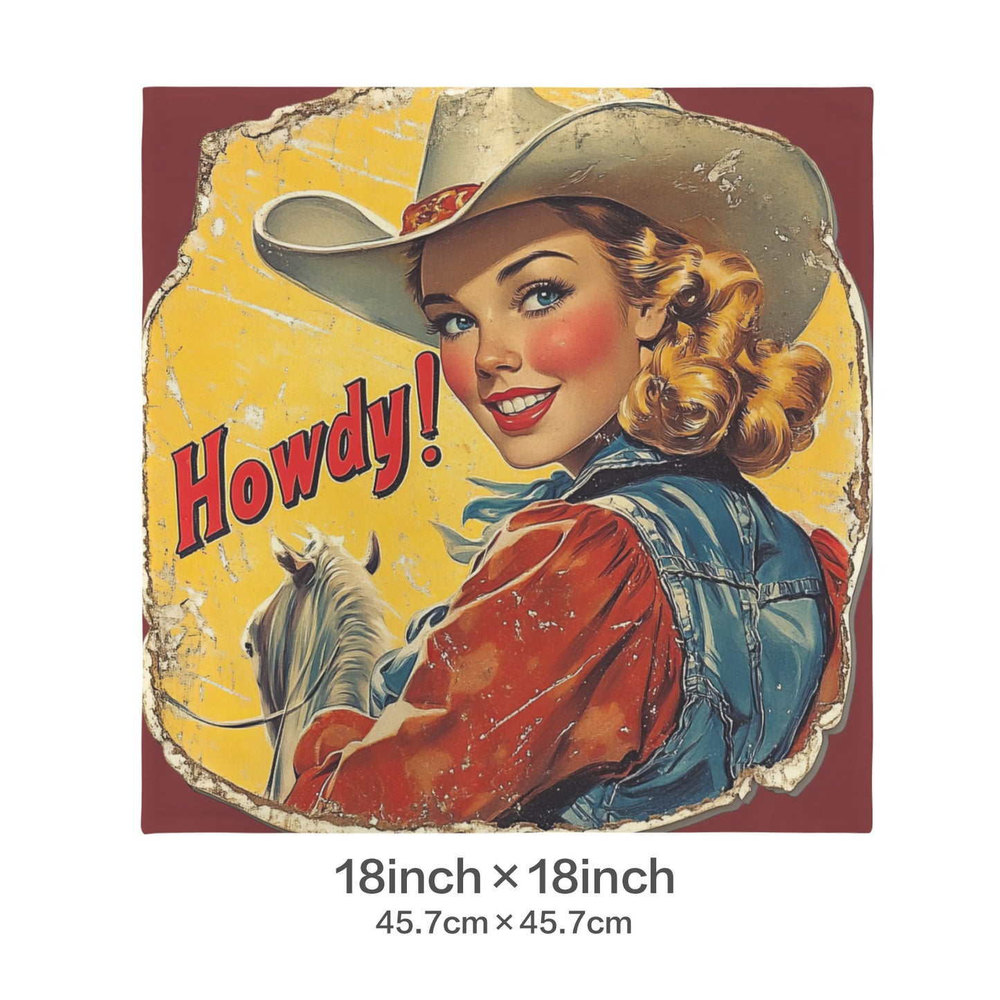 Baha Ranch Howdy Velvety Soft Pillow Case Made in America