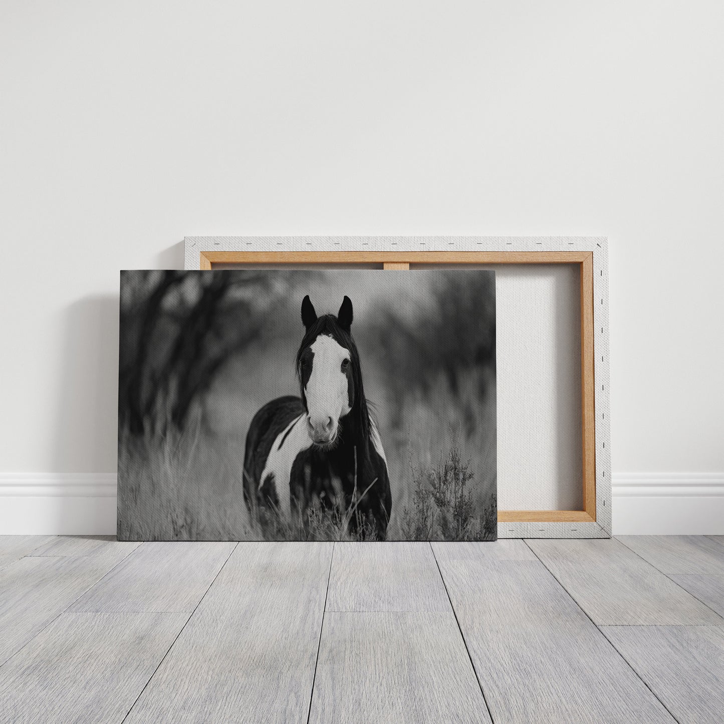 Wild Hearts Run Free