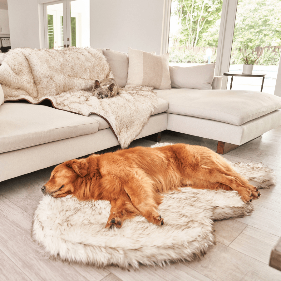 PupRug by Paw.com™ Faux Fur Orthopedic Dog Bed - Curve White with Brown Accents