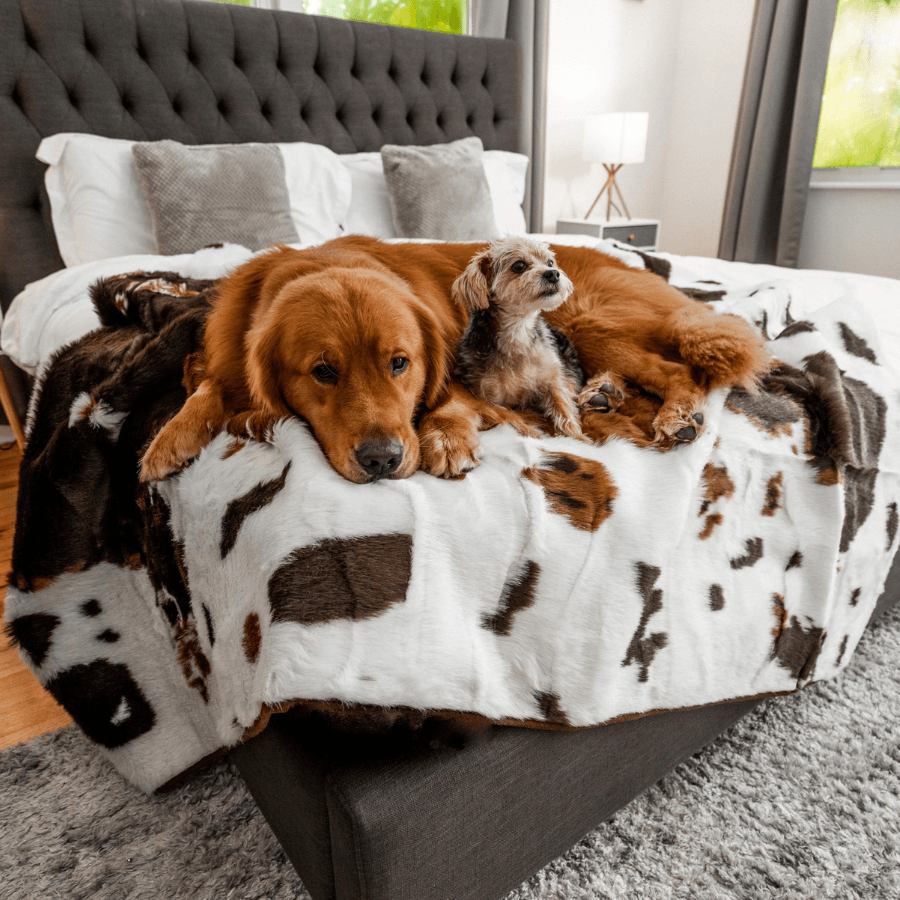 PupProtector™ Waterproof Throw Blanket - Brown Faux Cowhide