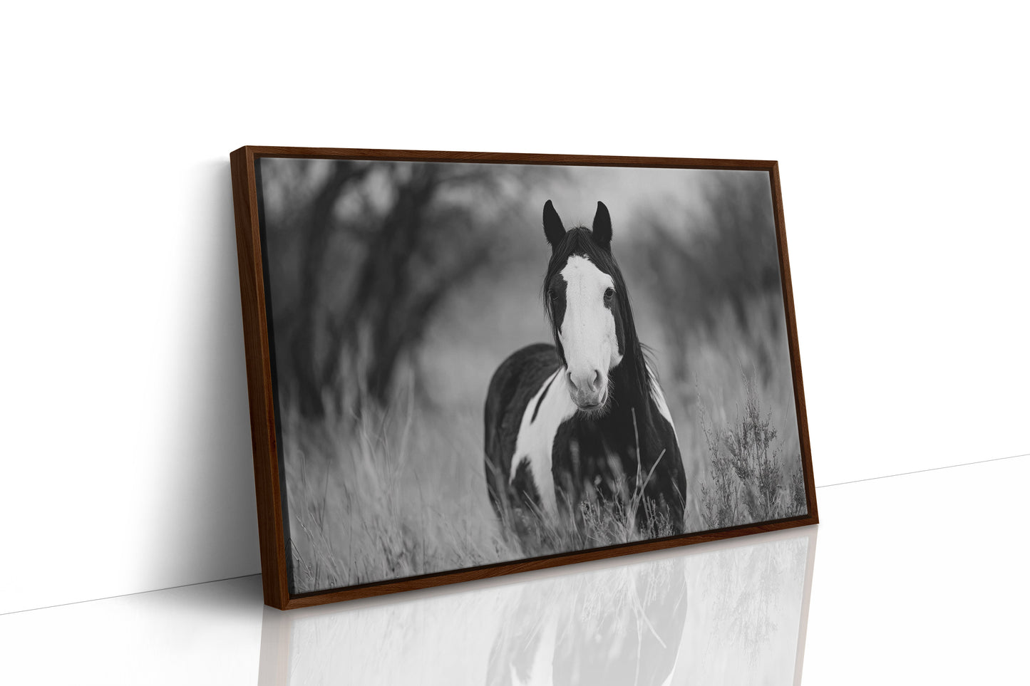 Wild Hearts Run Free