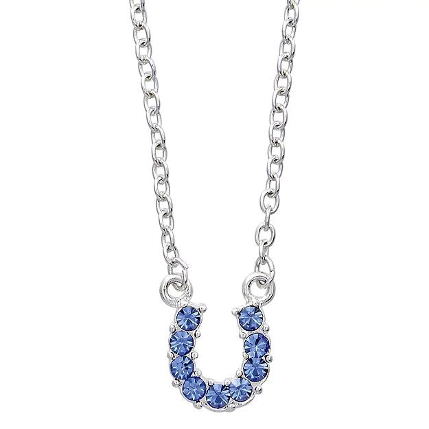 AWST Int'l Aqua Rhinestone Horseshoe Necklace w/Horse Head Gift Box