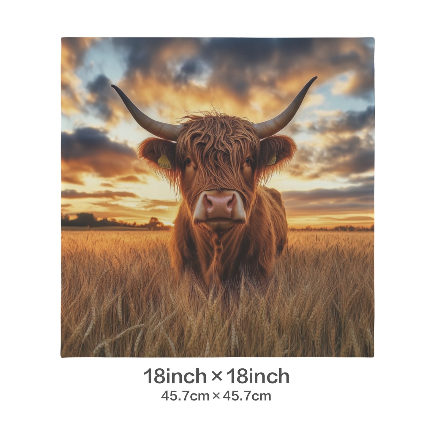 Baha Ranch Beautiful Highland Velvety Soft Pillow Case Cover Made in America