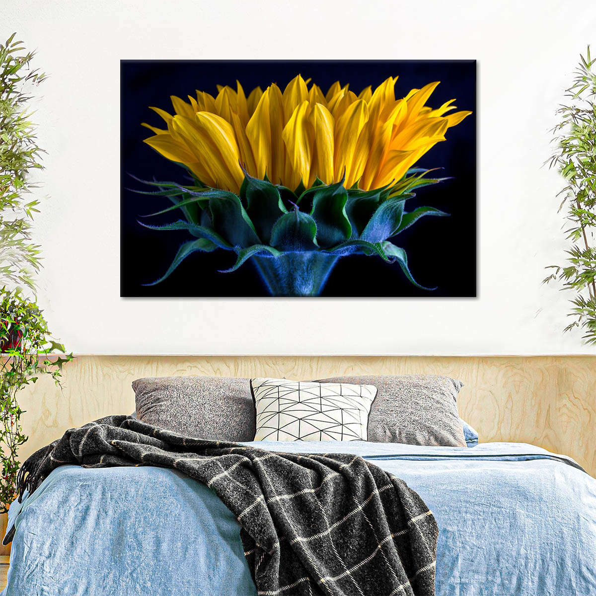 Sunflower Side View Wall Art