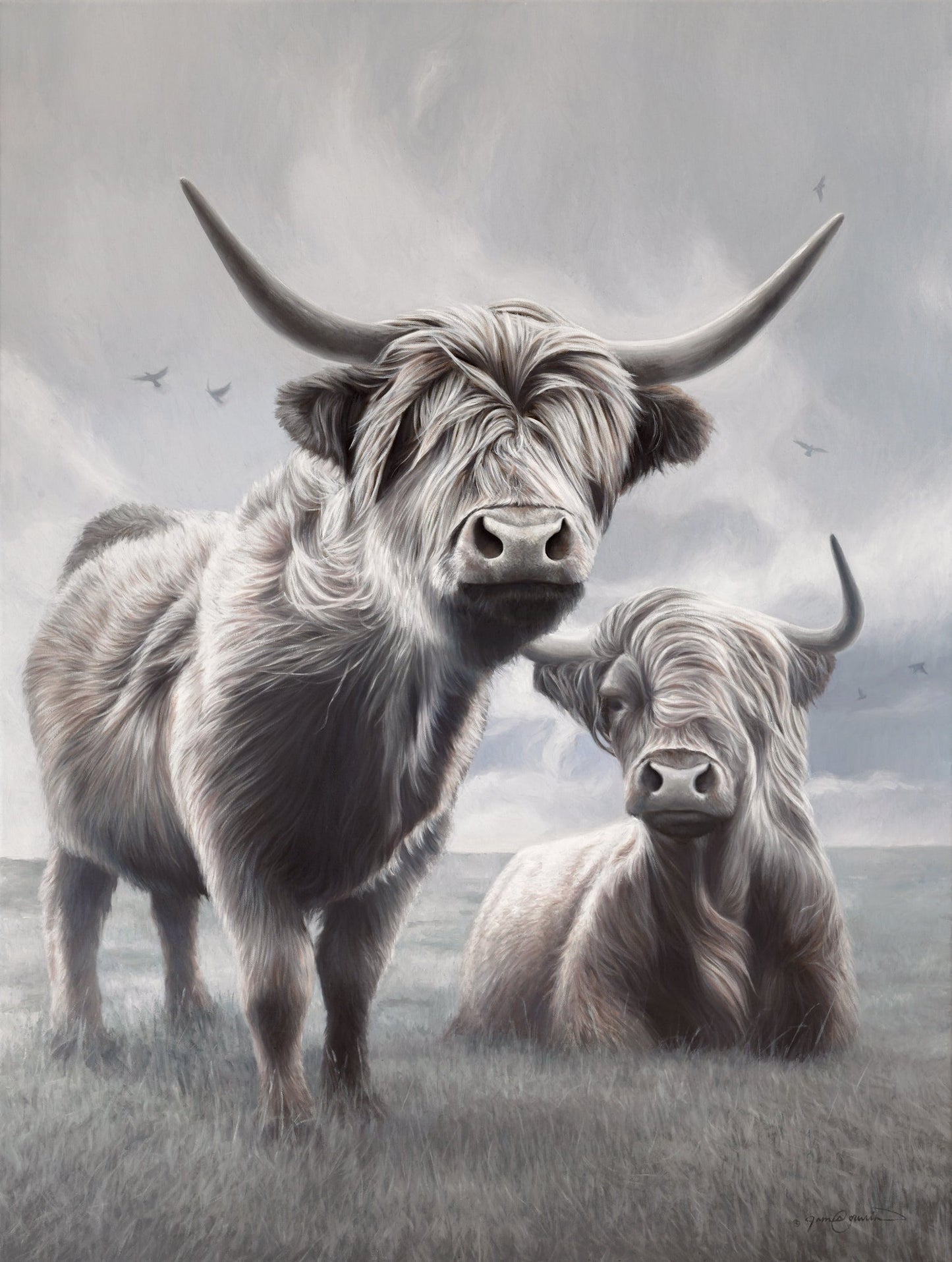 A Higher Land - Limited Edition Canvas Giclee Print HIghland Cows