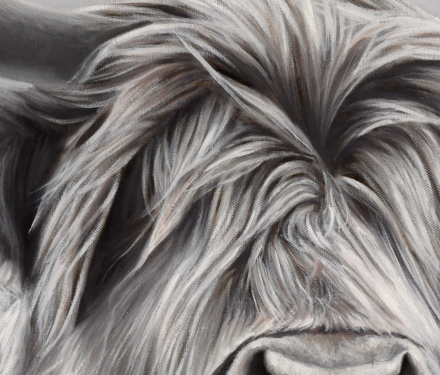 A Higher Land - Limited Edition Canvas Giclee Print HIghland Cows