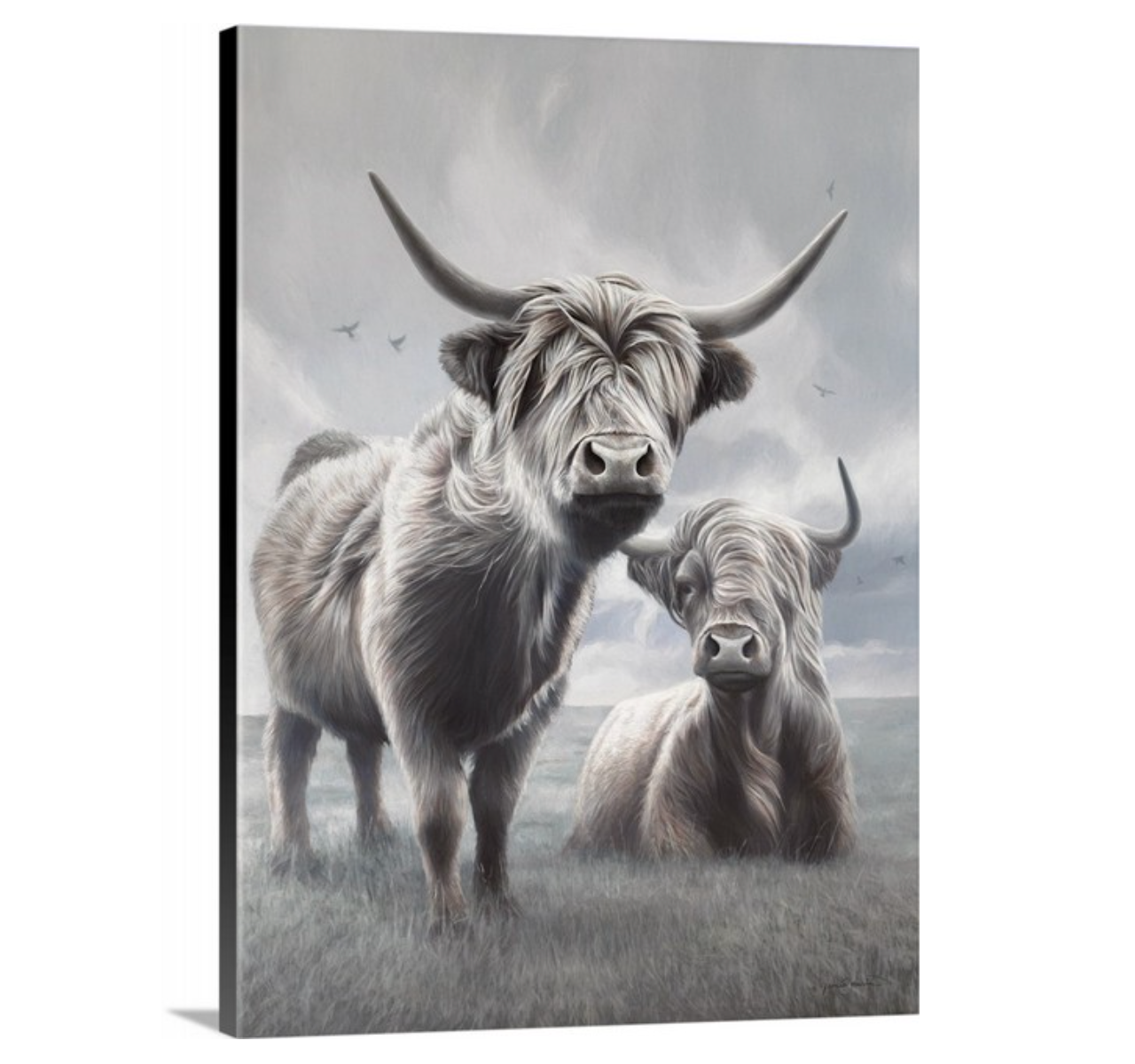 A Higher Land - Limited Edition Canvas Giclee Print HIghland Cows