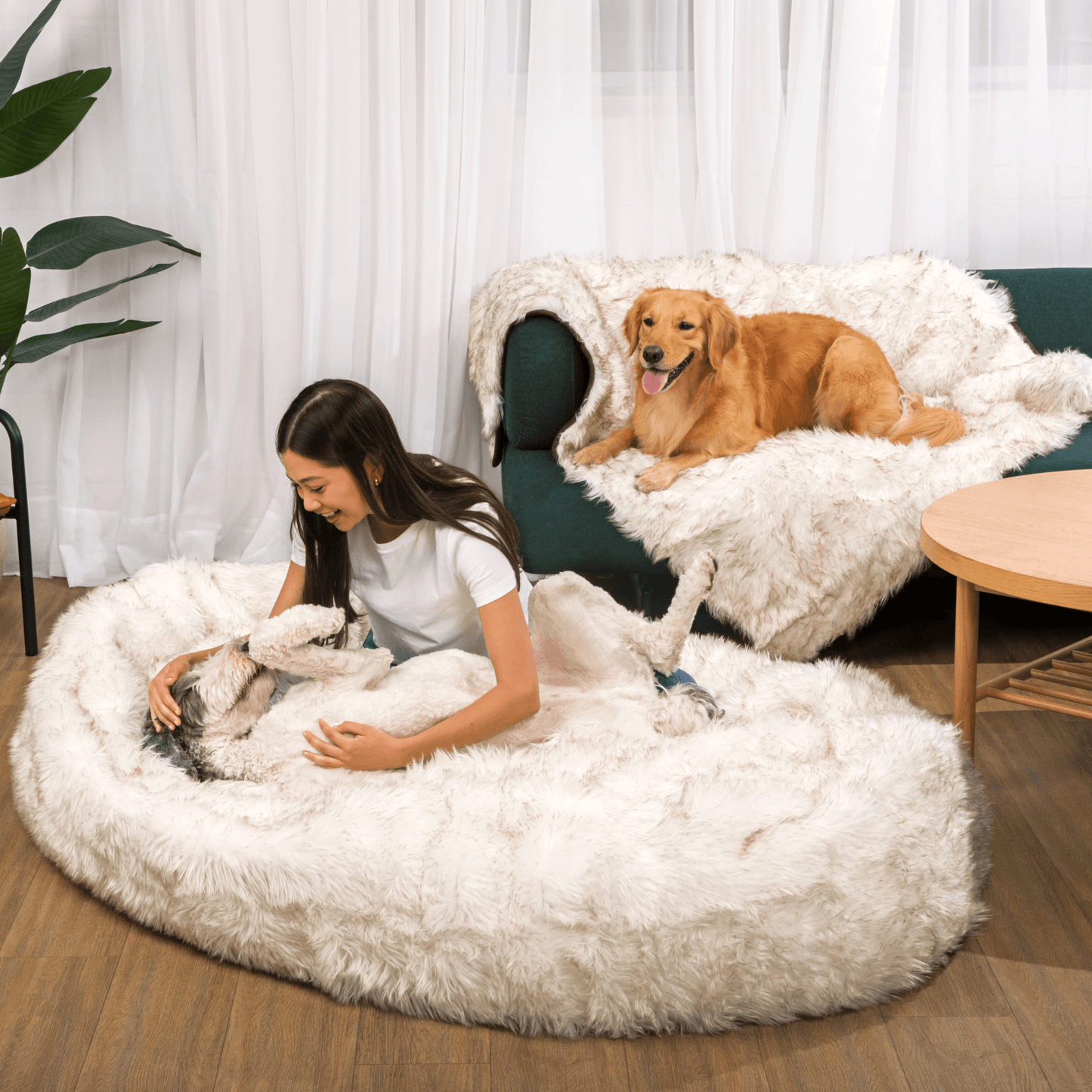 PupCloud™ Human-Size Dog Bed + Matching Waterproof Blanket Bundle - White with Brown Accents