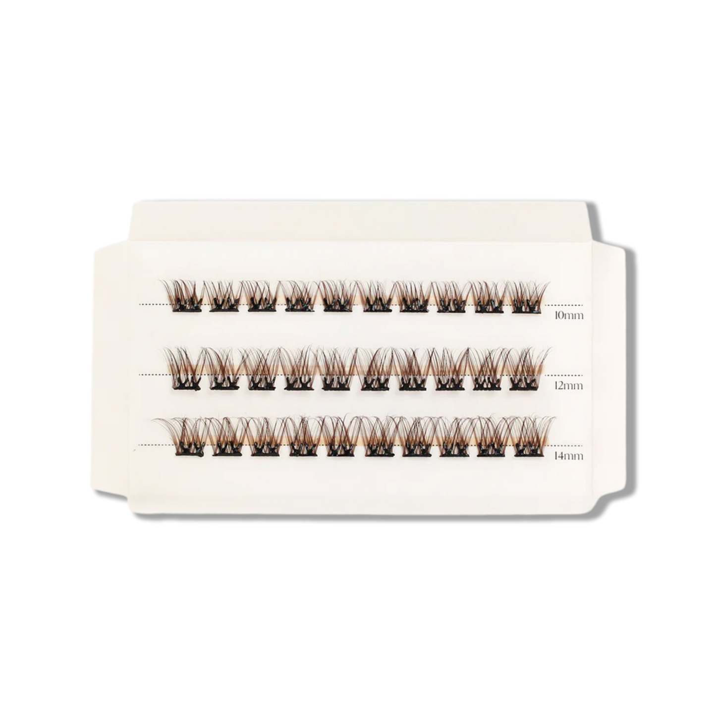 C & D Beauty Hazel Press & Go Refill