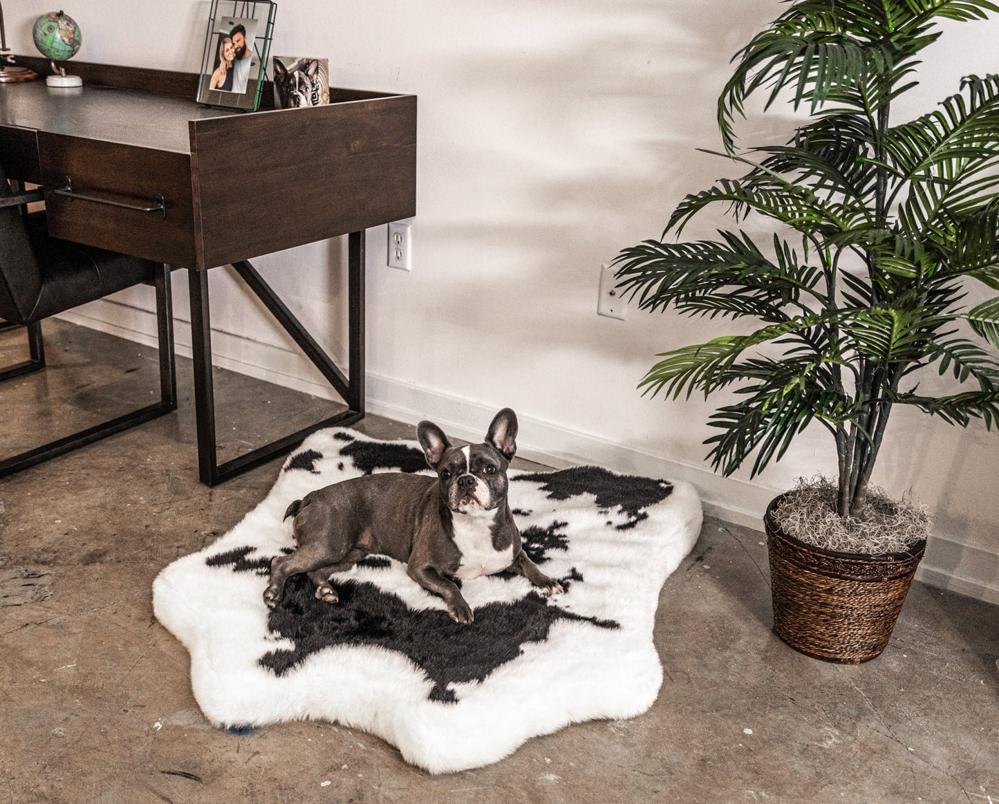 PupRug™ Animal Print Memory Foam Dog Bed - Black Faux Cowhide