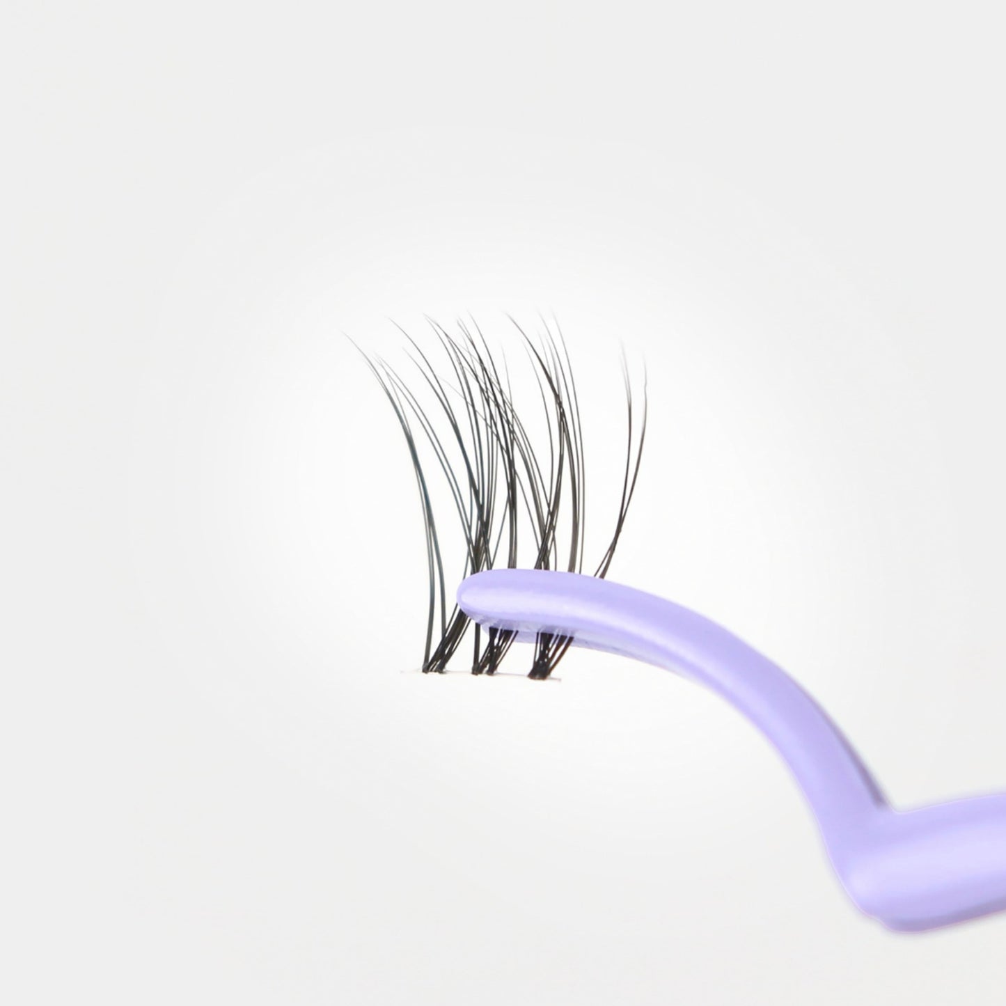 C & D Beauty Forever Flawless Lash Kit
