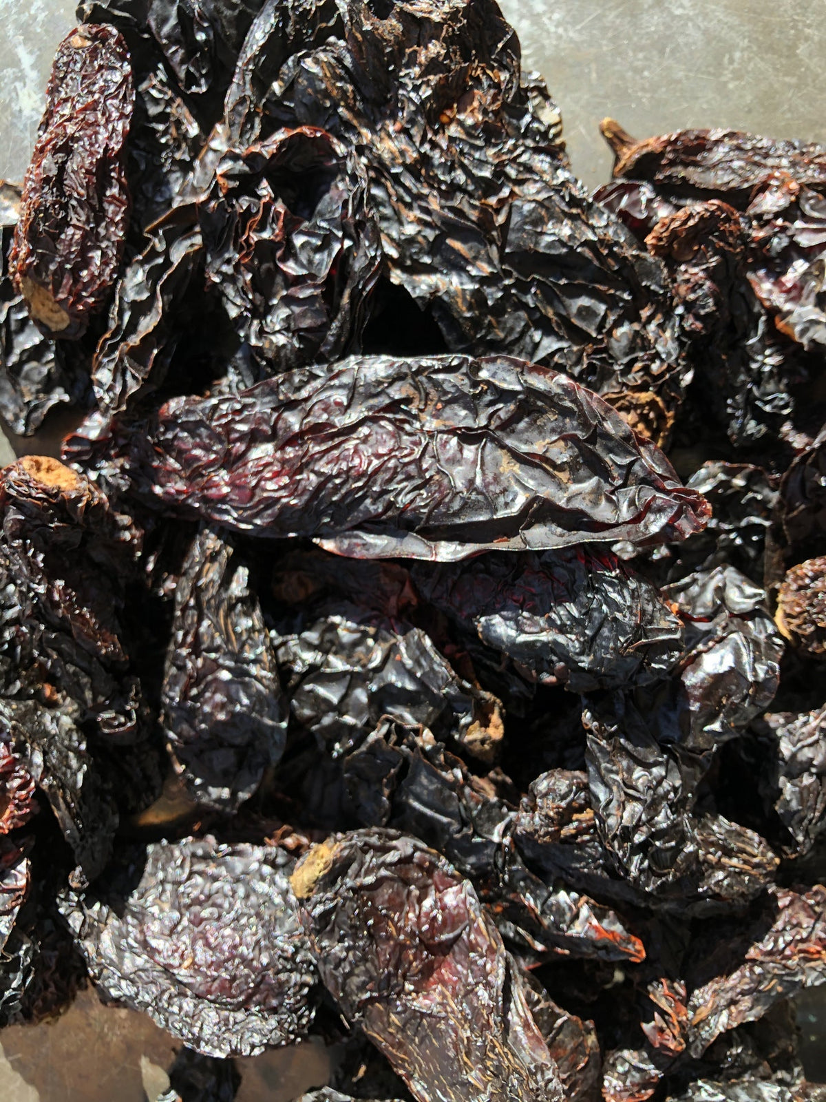 Chipotle' Morita Smoked Jalapenos Pods 6 OZ