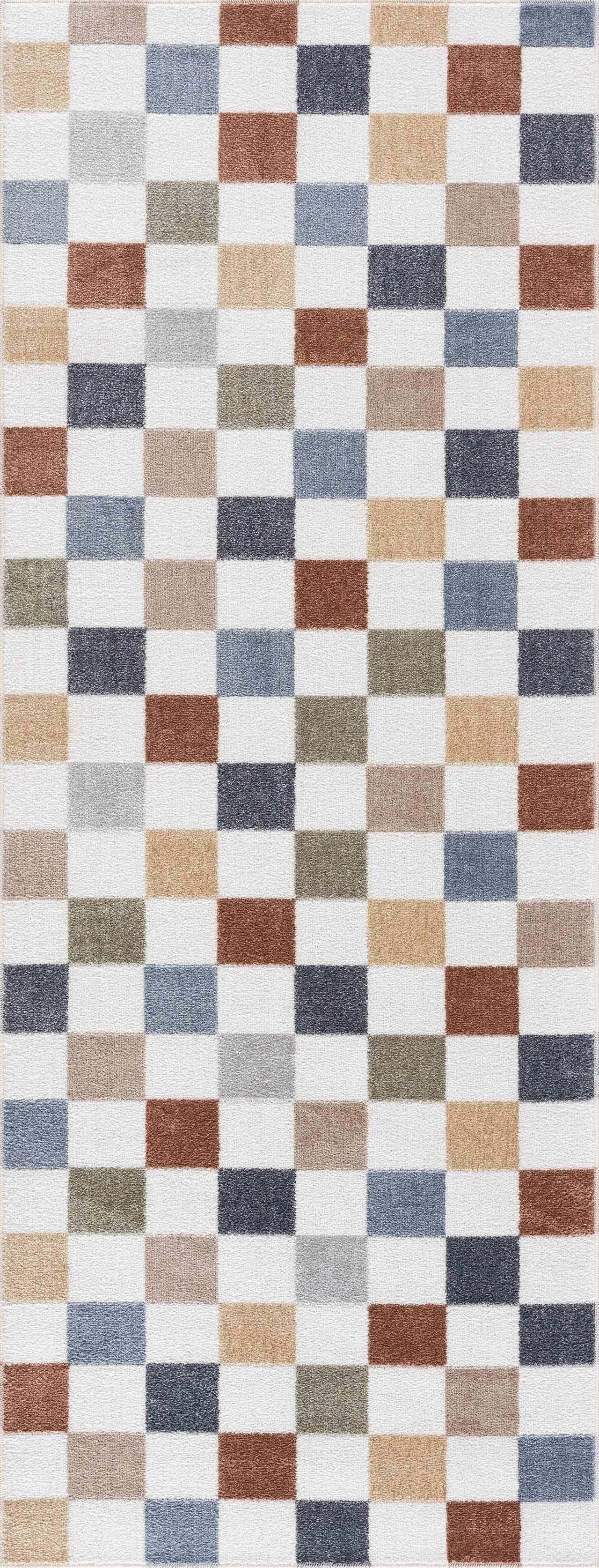 Alie Colorful Checkered Washable Rug