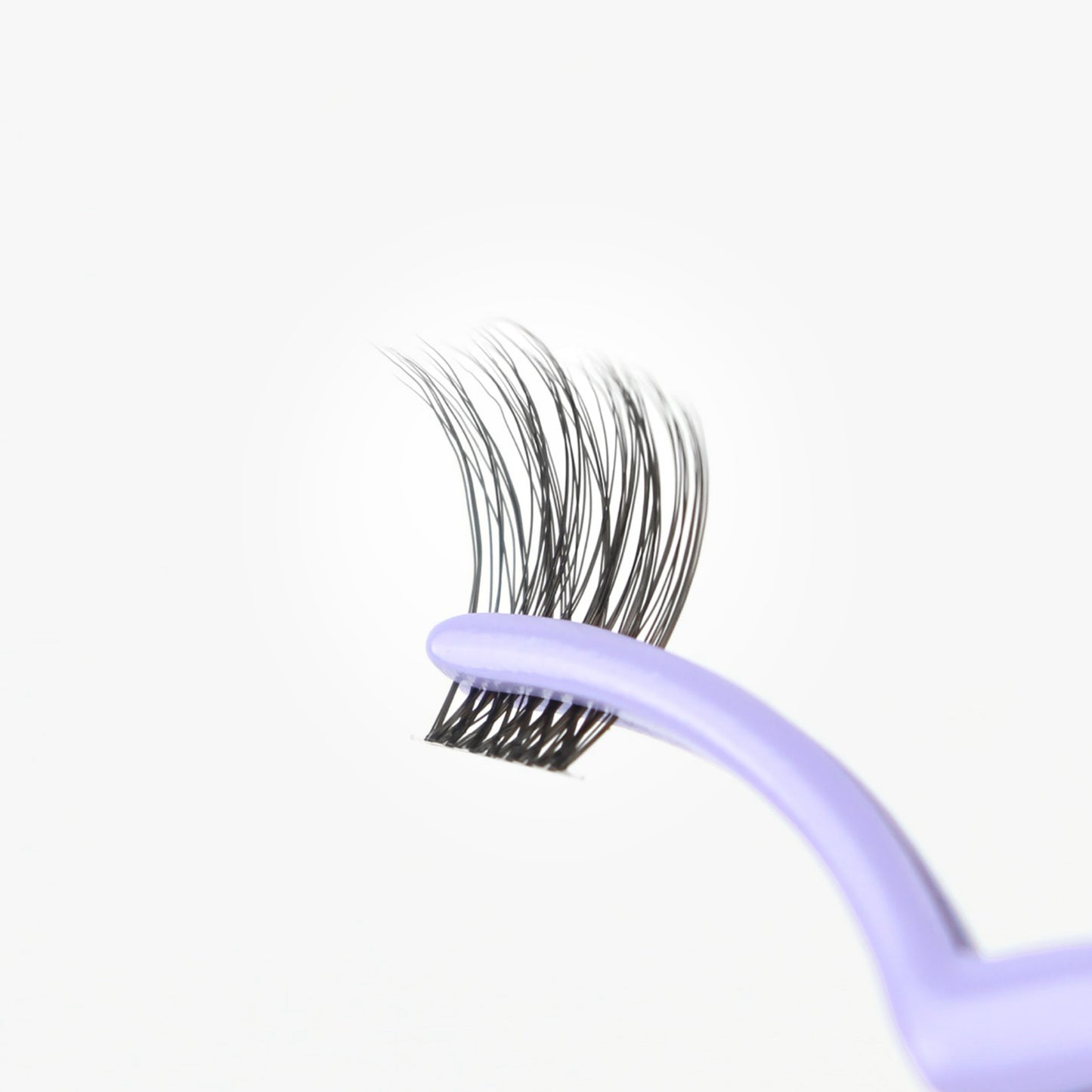 C & D Beauty Forever Flawless Lash Kit