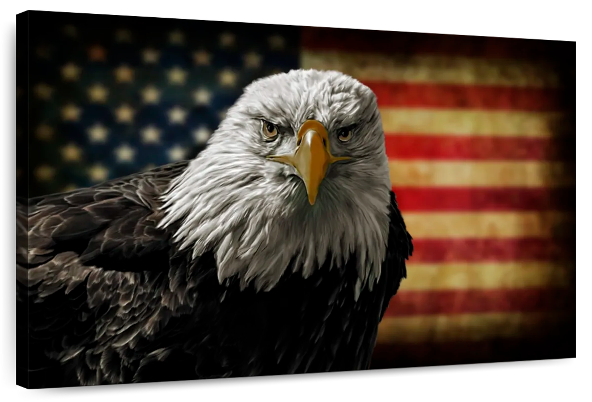 Eagle And Flag Of America Wall Art choice of styles