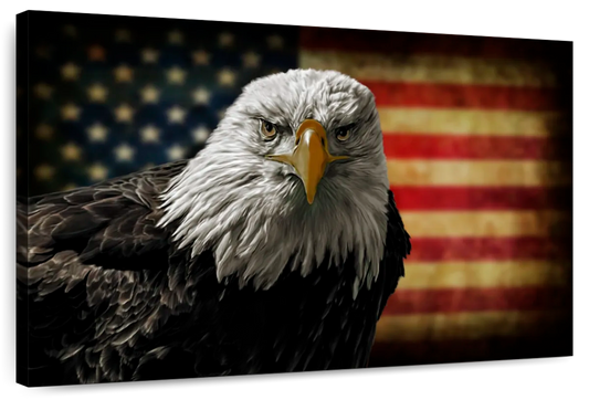 Eagle And Flag Of America Wall Art choice of styles