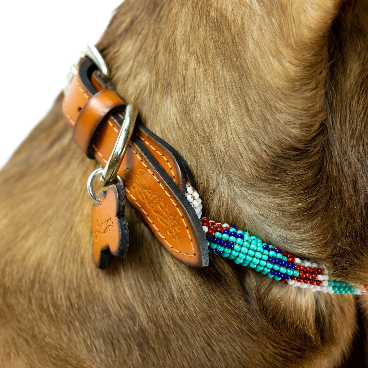 Aztec Sambboho dog collar (rolled)