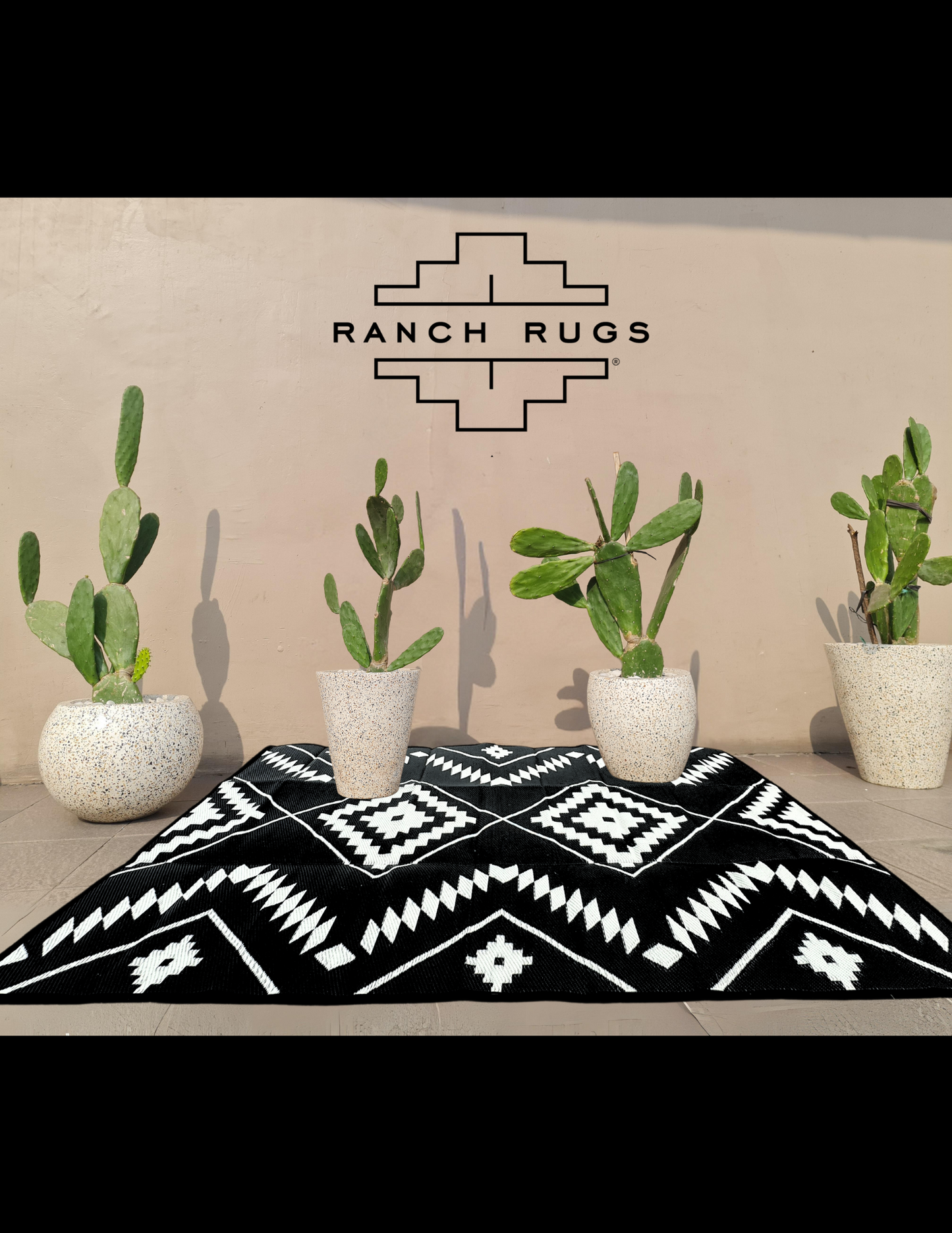 Black + Ivory - 6ft x 9ft - RANCH RUGS  -THE DAVIS -Aztec Southwestern Floor Covering