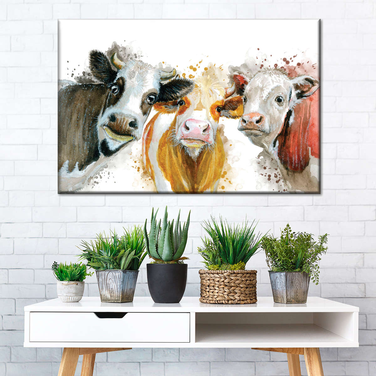 Livestock Cows Splash Wall Art choice of sizes