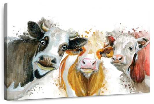 Livestock Cows Splash Wall Art choice of sizes