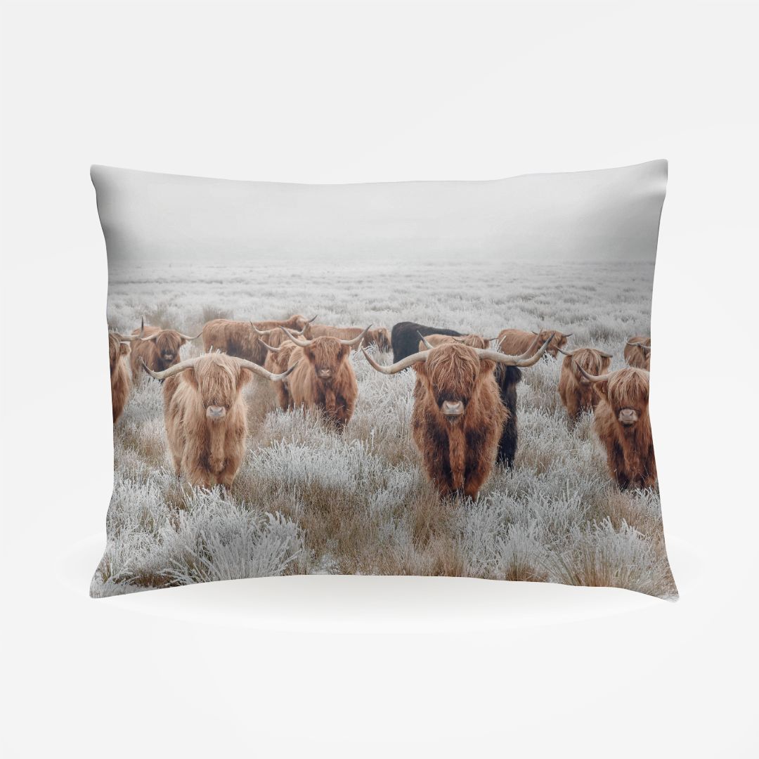 Highland Cow Herd Pillowcase