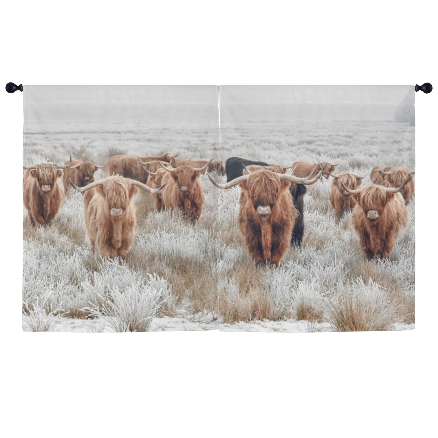 Highland Cows Window Curtain 52"x63" (2-Piece) Made in America