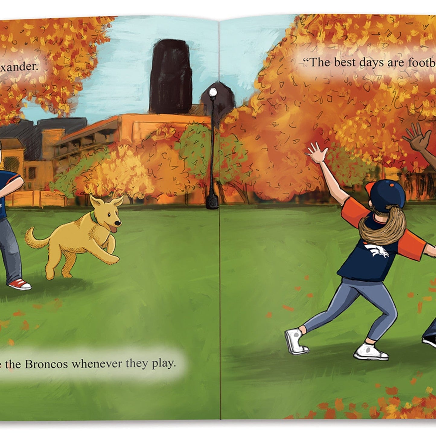 Denver Broncos - Home Team Children's Book