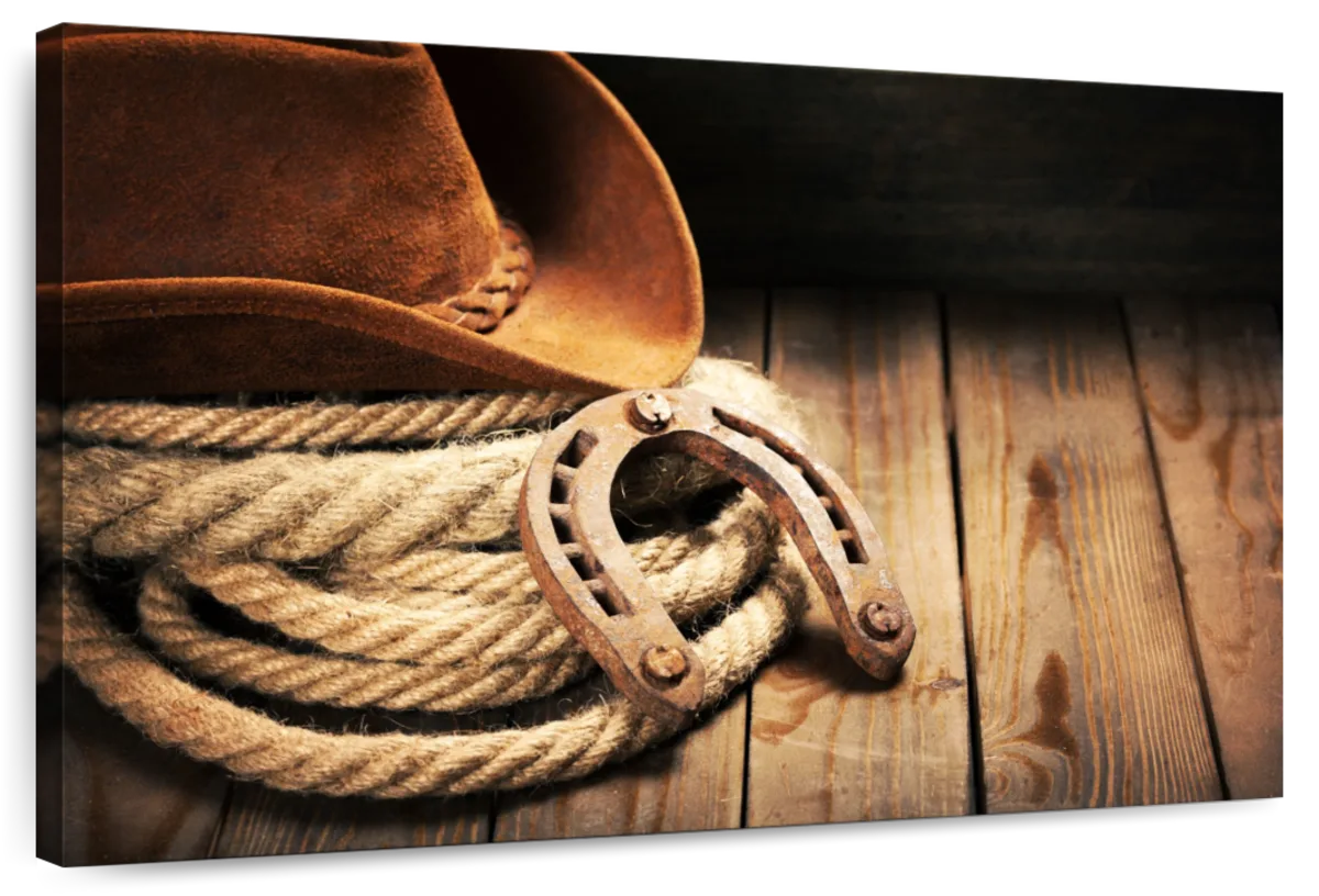 Cowboy Gizmos Wall Art