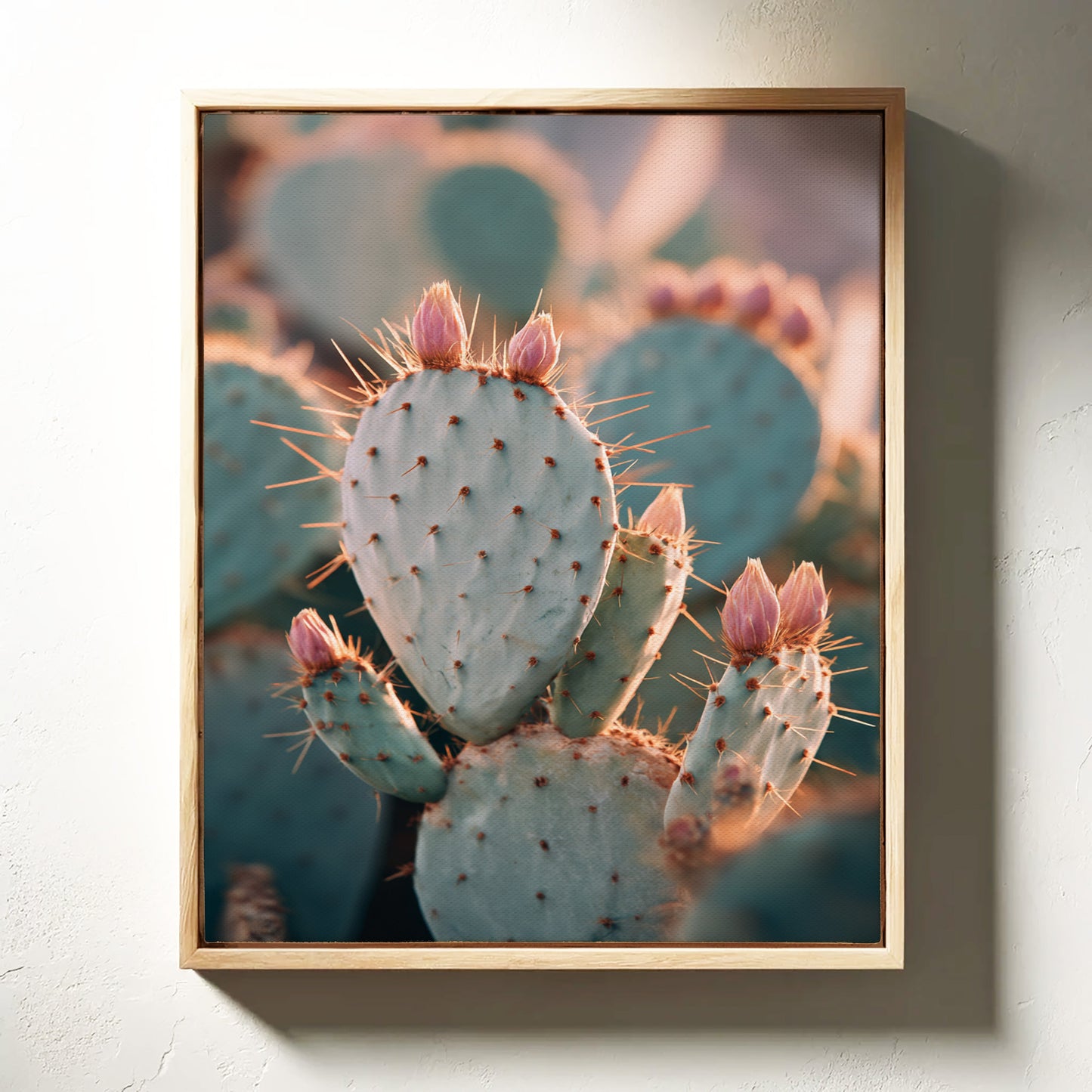 Cacti Embrace the Golden Dawn