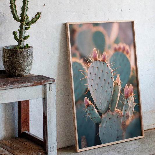 Cacti Embrace the Golden Dawn