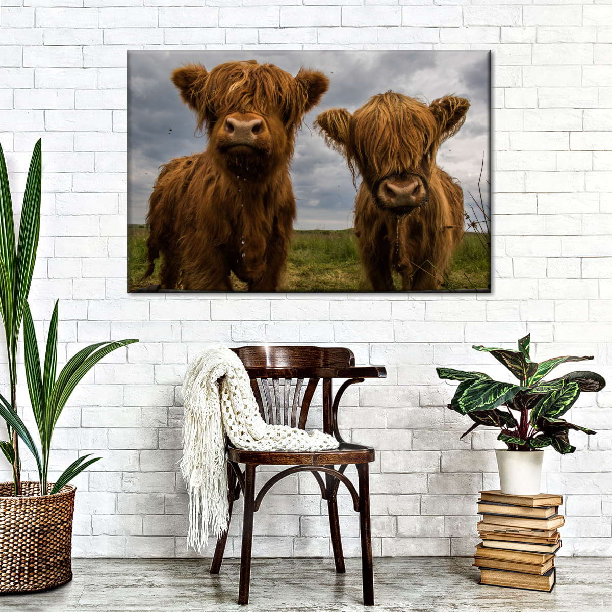 Baby Highland Cows Wall Art