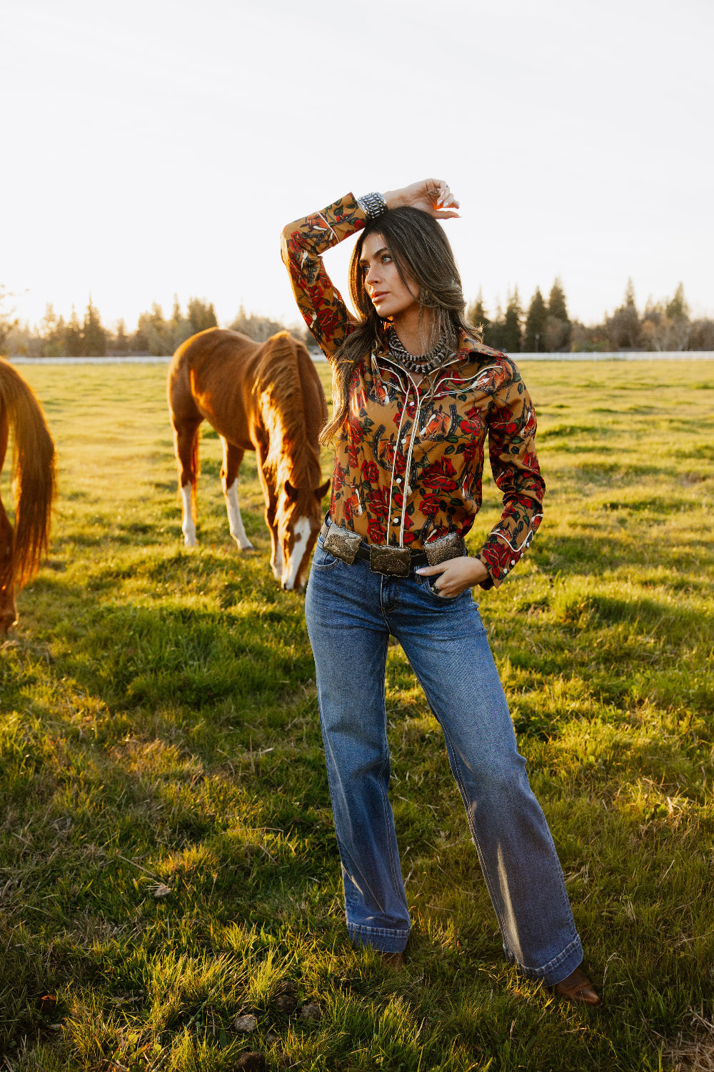 Rodeo Quincy Horses & Horseshoes Button Up