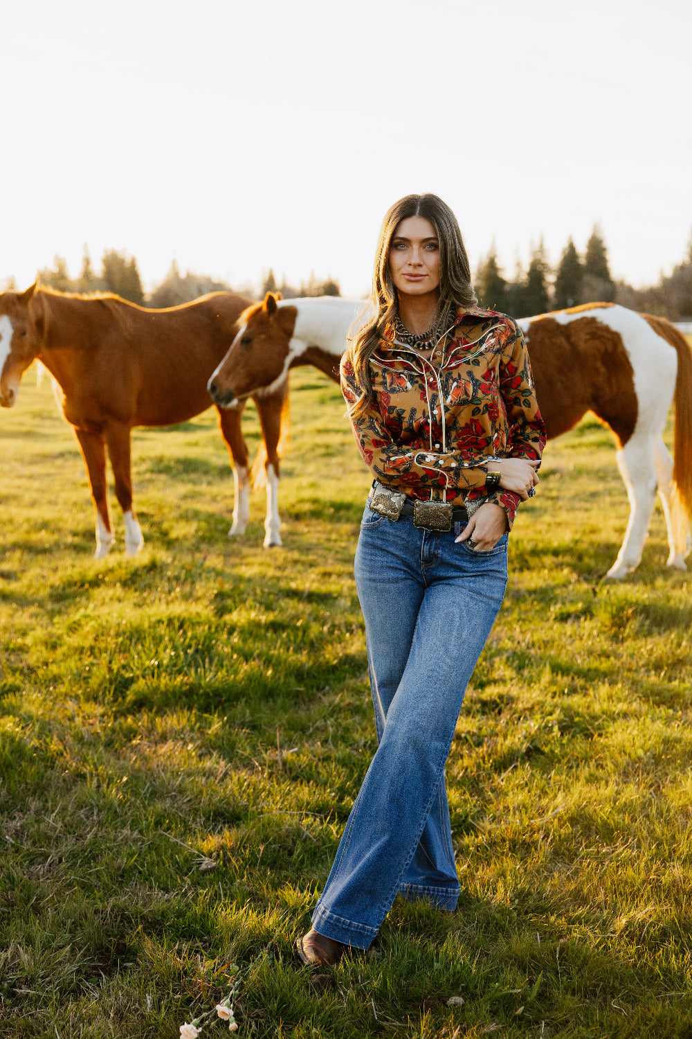 Rodeo Quincy Horses & Horseshoes Button Up