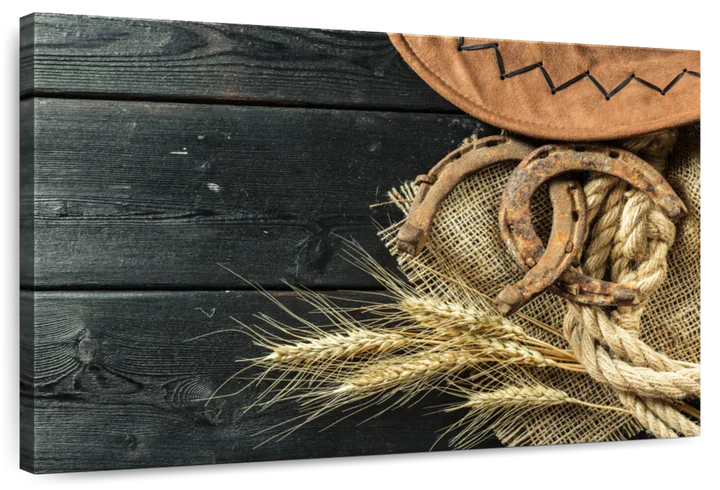 Cowboy Hat And Horseshoe Wall Art