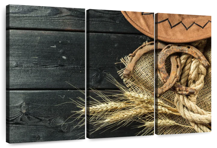 Cowboy Hat And Horseshoe Wall Art